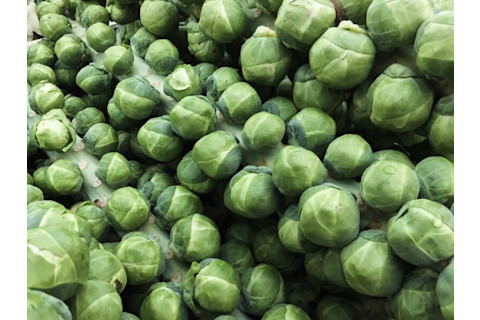 Brussels Sprouts - Pixabay