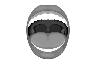 OpenMouth-Shutterstock-1024x683