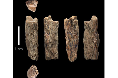 Denisovan Neanderthal Hybrid Fragments - Max Planck Institute