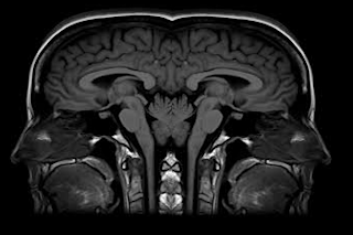 left right brain 