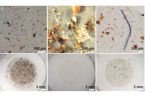 Microplastics - Science Advances