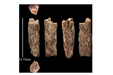 Denisova Bone Fragments - Max Planck Institute