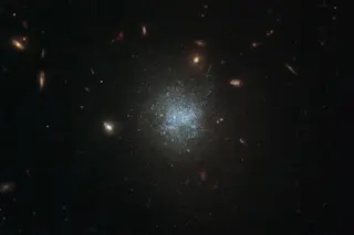 Dark Matter in the Belly of the Whale node full image 2