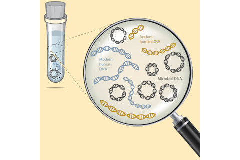 ScreenShot20170612at31849PM