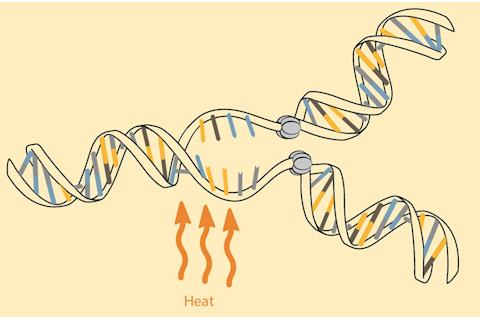 ScreenShot20170612at33040PM