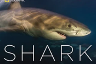 Skerry Shark