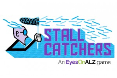 StallCatchers