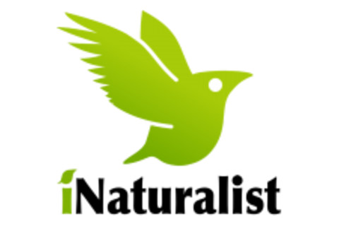 iNaturalist