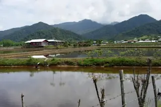modest-village