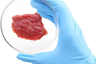 Lab-Grown Meat