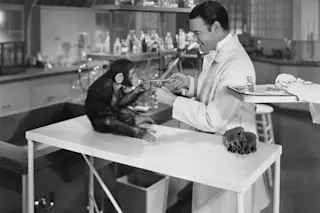 Researcher and monkey