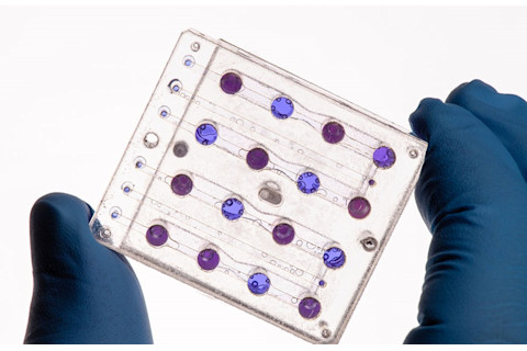 NASA Biosentinel