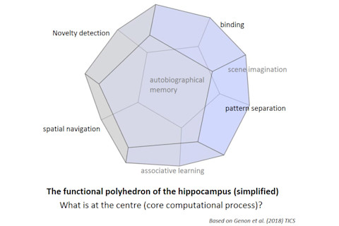 functional polyhedron-768x673