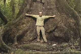 Peter Ellis and Mahogany Tree - Courtesy - DSC-NT1216 05