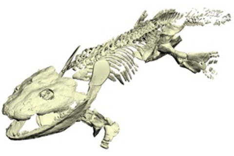 Ichthyostega