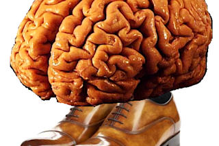 brainshoes - Neuroskeptic NEEDS CREDIT