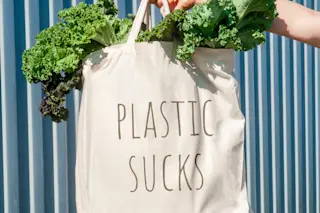 Tote Bag - Shutterstock
