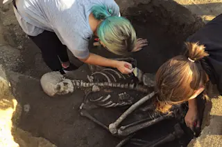 dig human skull skeleton remains excavation