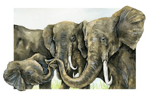 Elephant Family