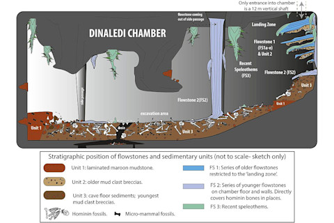 Dinaledi Chamber Diagram - Paul H. G. M. Dirks et al.