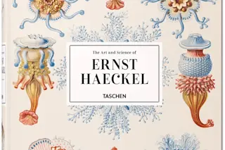 haeckel darwin book cover 1