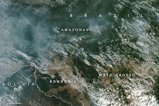 brazilfires virs 2019225