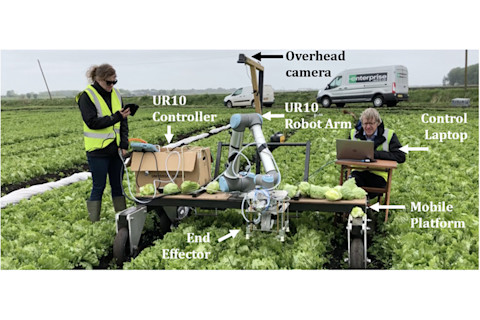 Lettuce Picking Robot - J Field Robotics