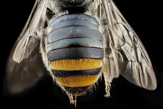 Science in the Wild_intro