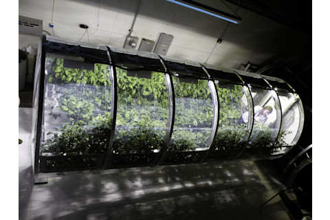 Lunar Greenhouse - University of Arizona