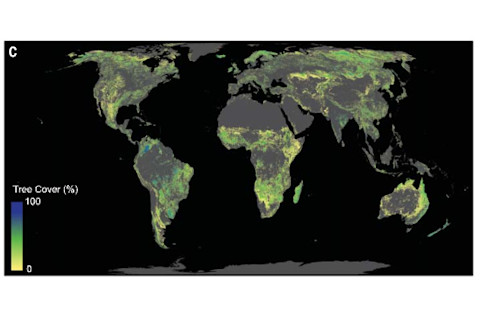 Global-Tree-Restoration-Potential - Bastin et al 2019 Science