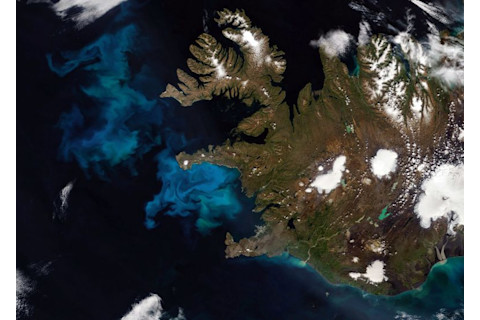 Iceland Plankton Bloom - NASA