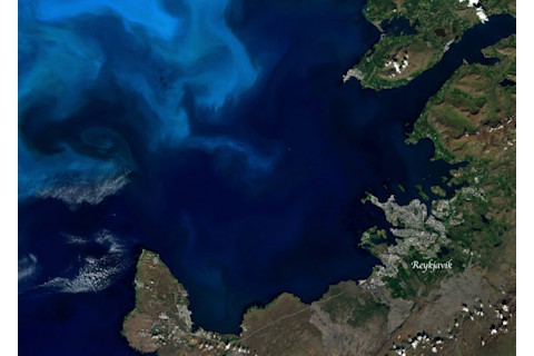 Iceland Phytoplankton Landsat - NASA