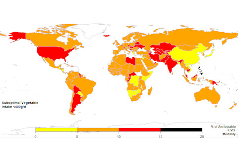 Vegetable Consumption Map - Global Dietary Database