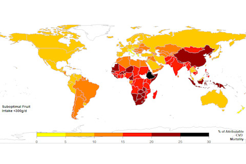 Fruit Consumption Map - Global Dietary Database