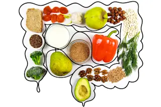 Food in the Gut - Shutterstock