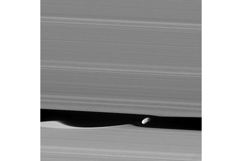 Daphnis inside Saturn's Rings - NASA