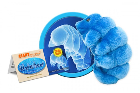tardigradegifts