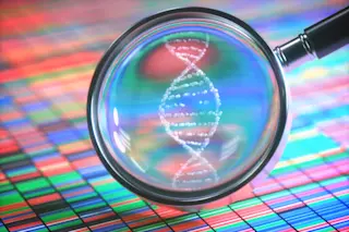 DNA - Shutterstock