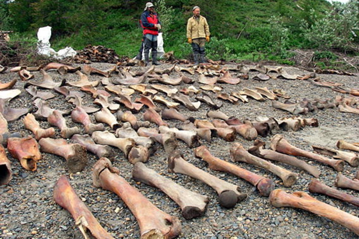 These Ice Age Humans Somehow Survived North of the Arctic Circle | Discover  Magazine