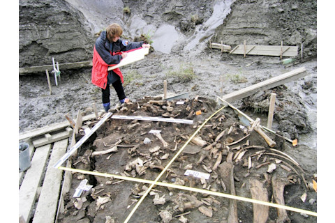 Alla Mashezerskaya, Yana Site - Elena Pavlova