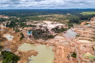 Amazon Deforestation