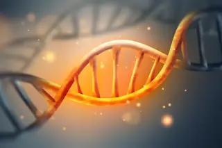 Artificial DNA Strand