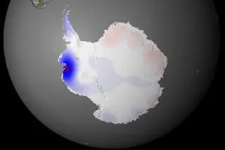 West Antarctica is rapidly melting, while some parts of East Antarctica have seen increased snowfall. (Credit: NASA/Goddard Space Flight Center Scientific Visualization Studio)