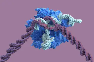 CRISPR - Ella Maru Studio, Science Source