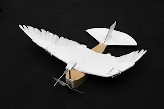 PigeonBotComplete