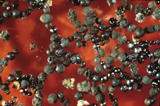 deep sea spherules 2