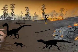 Mass Extinction - Bordy et al. 2020 PLOS ONE