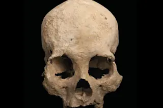 Chan Hol 3 Skull - Stinnesbeck et al. 2020