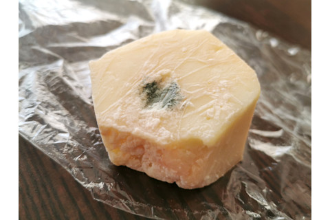 Moldy Cheese - Shutterstock