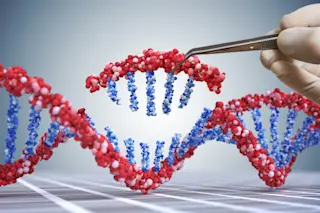 Gene Editing